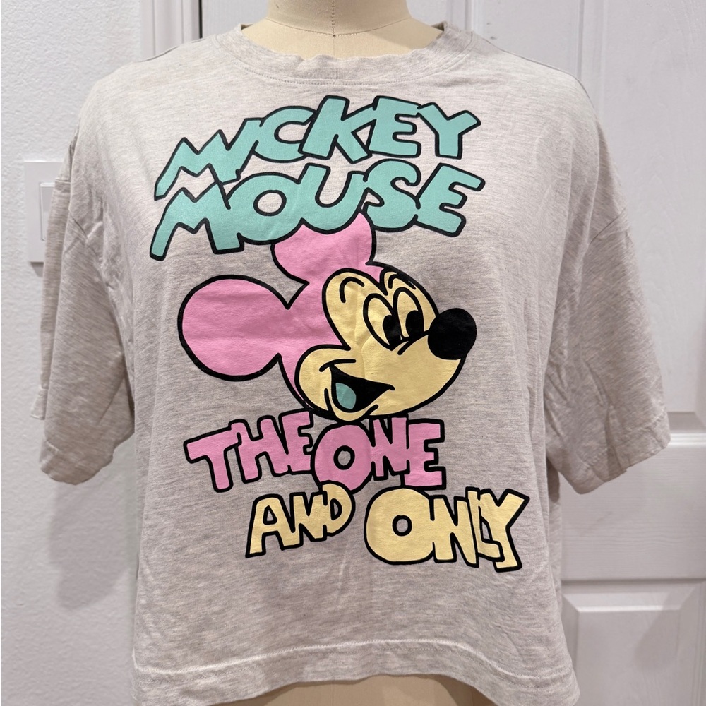 H&M x Disney Mickey Mouse Crop Top - Gray and Pink